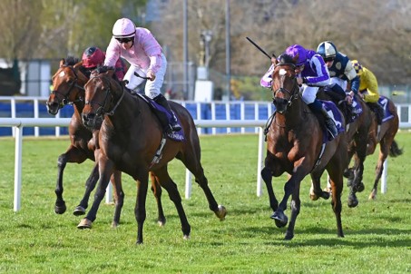 3. kép: Christmas Day (IRE). Forrás: racingtv.com 