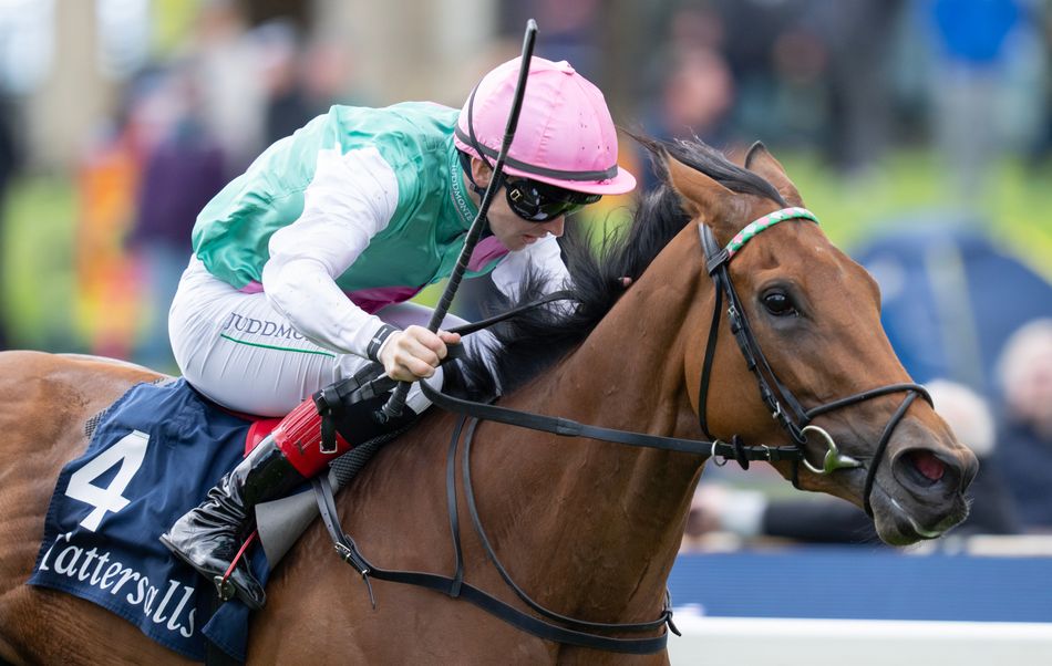 3. kép: A legangyobb kihívó - Legacy Link (IRE). Forrás: racingpost.com/ Edward Whitaker