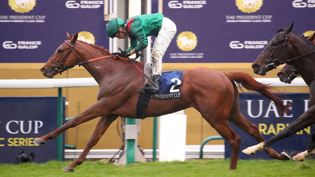 1. kép: Rayif (IRE) / Sea The Moon (GER) - Rayisa (IRE). Fotó forrása: APRH / CLEMENTINE VERET