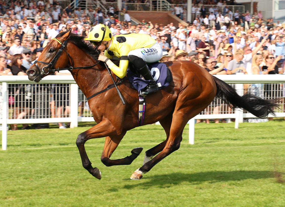 1. kép: Bow Echo (IRE) és Billy Loughnane. Forrás: thoroughbreddailynews.com/ Ian Headington/ racingfotos.com