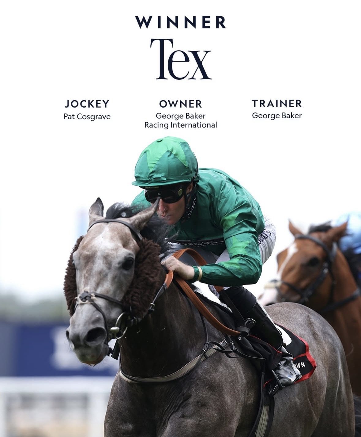 1. kép: Tex (FR). Forrás:instagram/georgebakerracing