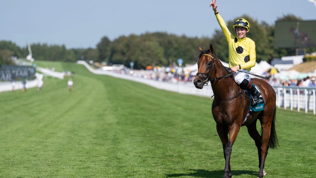3. kép: A ménesben találkozunk. Viszlát, Bow Echo! Forrás: racingpost.com/ Edward Whitaker