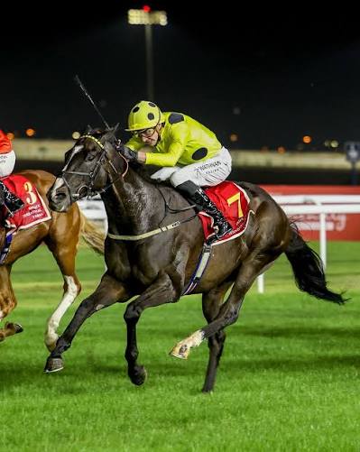 1. kép: Nesthorn (GB). Forrás: instagram.com/bahrainturfclub
