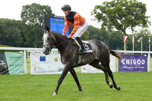 5. kép:Duke of Meridian (IRE). Forrás: zavodisko.sk.
