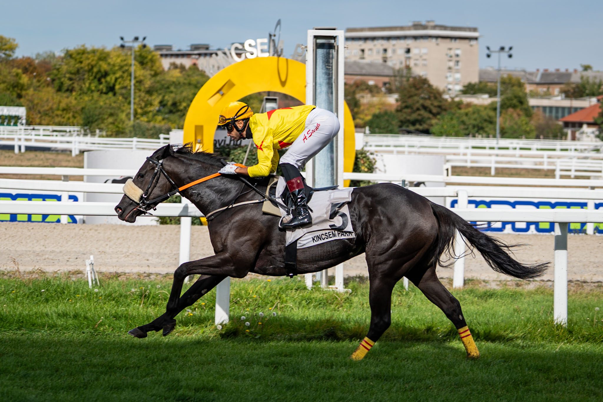 Blazing Star és Alberto Sanna párosa a célban