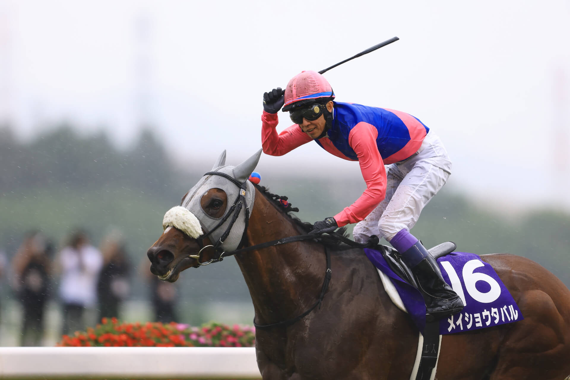 1. kép: Meisho Tabaru (JPN). Forrás: idolhorse.com/ Shuhei Okada.