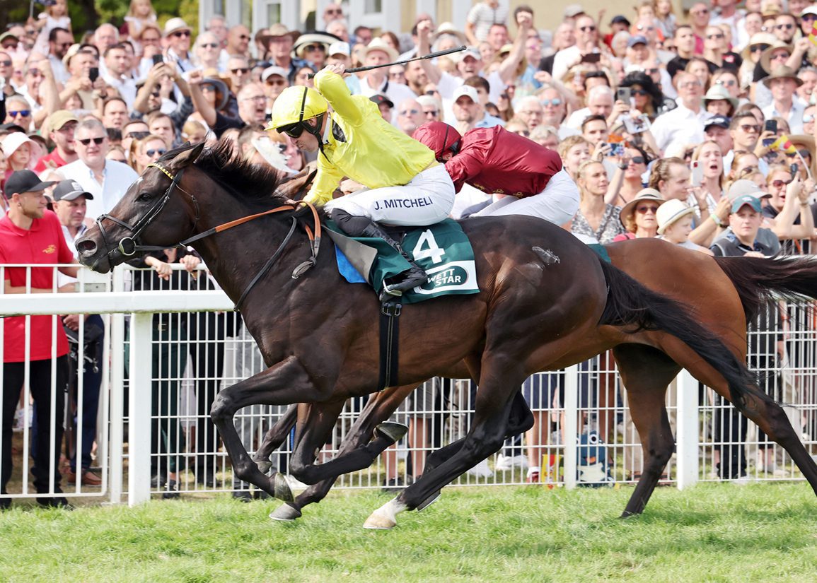 2. kép: Saddadd (IRE). Forrás: thoroughbreddailynews.com/racingfotos.com