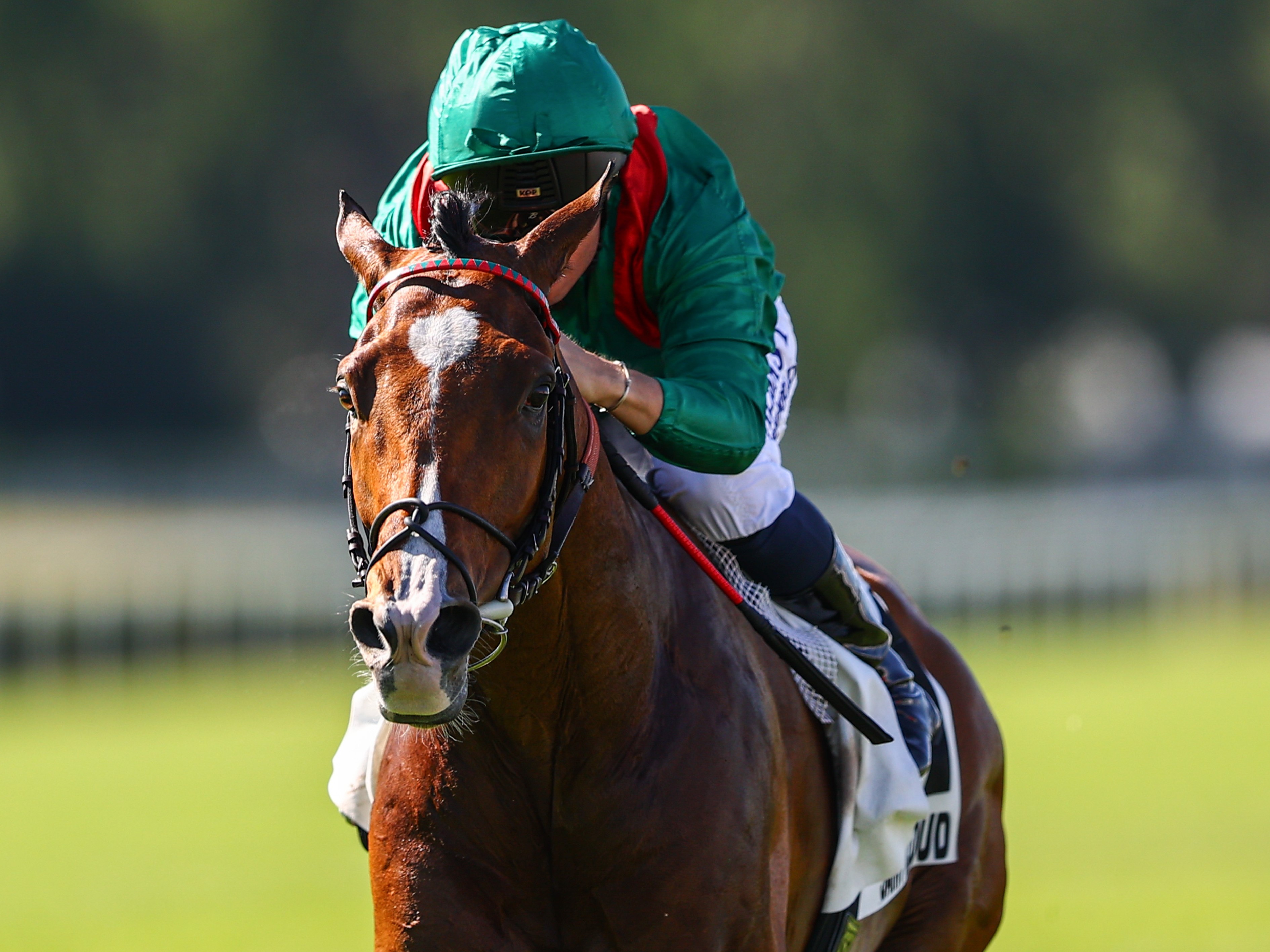 Kontinensek viadala: Breeder's Cup!