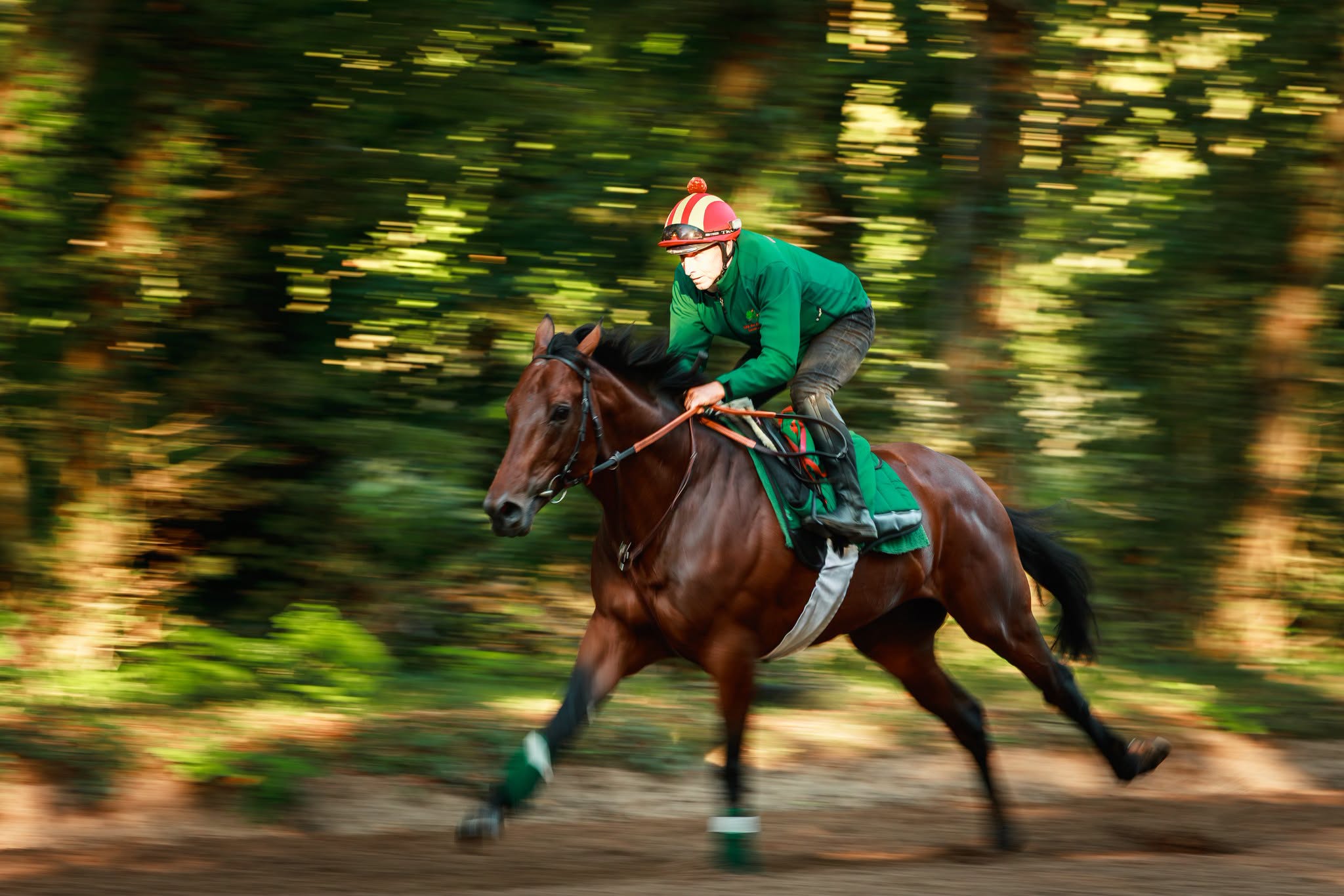 1. kép: Daryz (FR). Forrás: facebook.com/agakhanstuds
