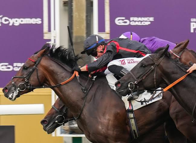 2. kép: Maltese Cross (FR). Forrás: thoroughbreddailynews.com/ Scoop Dyga.