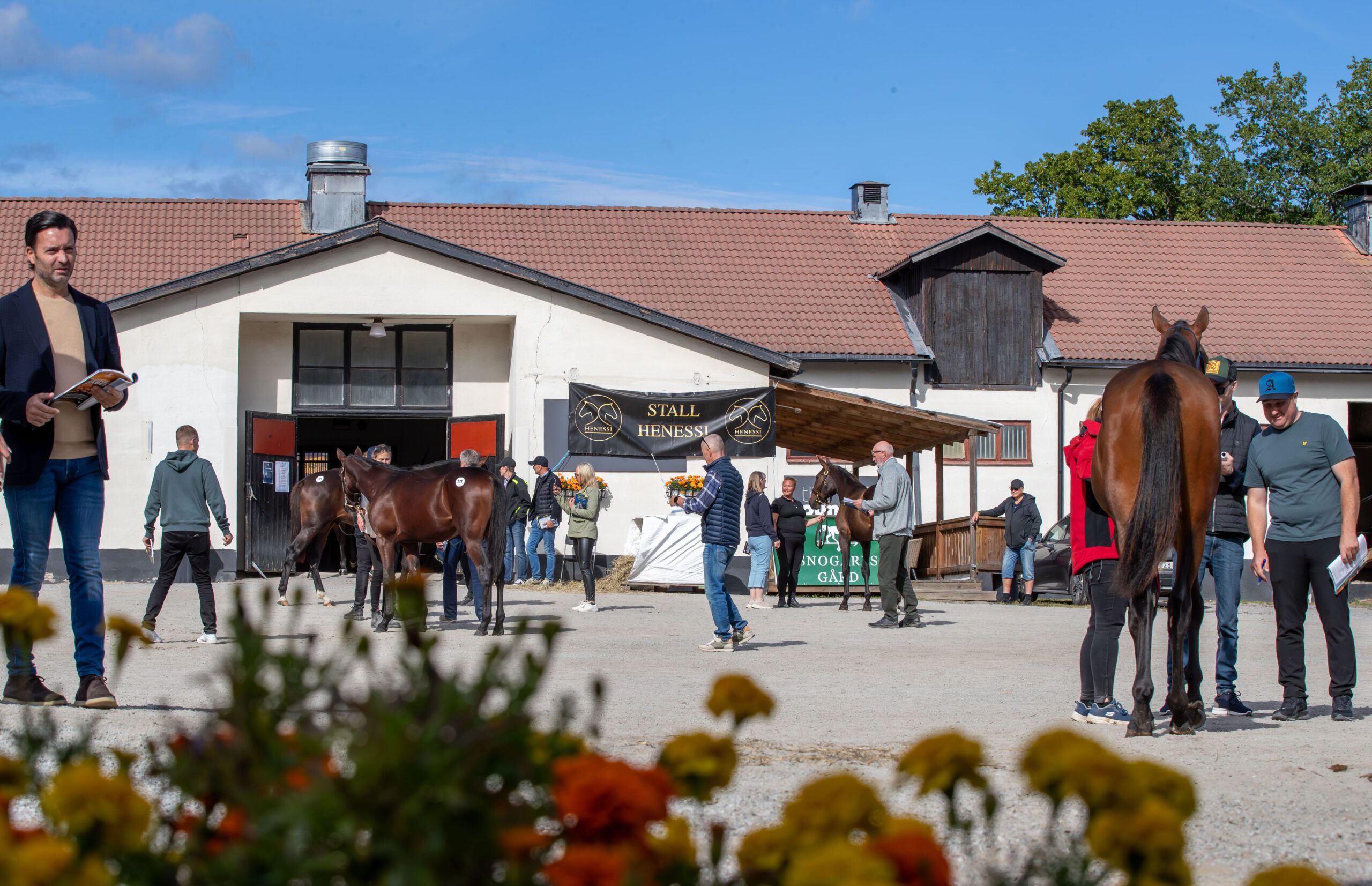 Solvalla Criterium Sale 2026