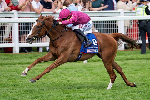 3. kép: Thundering On (GB). Forrás: bloodhorse.com/ Edward Whitaker.