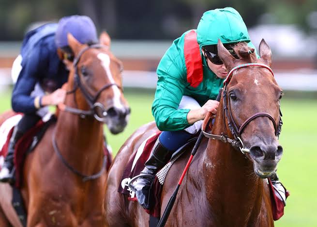 3. kép: Varandir (FR). Forrás: thoroughbreddailynews.com/ Scoop Dyga